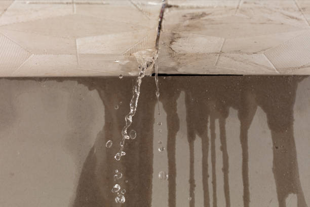 Professional Structural Drying technician working in Mingo, OH